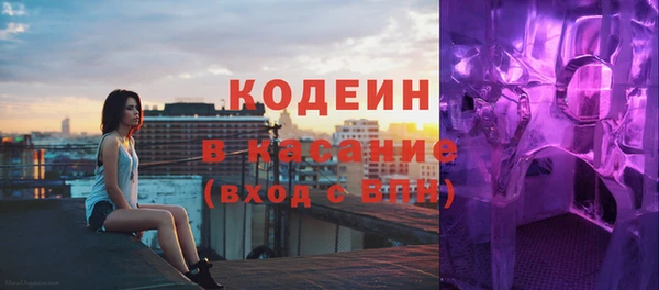 гашик Алексин