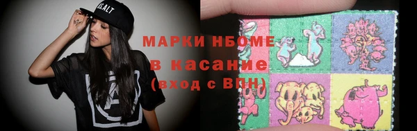 гашик Алексин