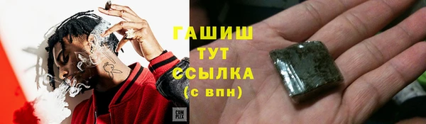гашик Алексин