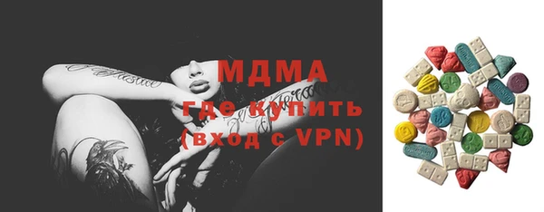 гашик Алексин