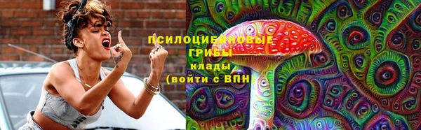 твердый Алексеевка