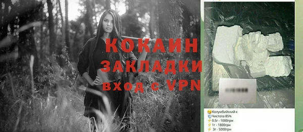 твердый Алексеевка