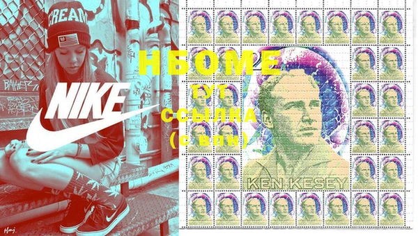 гашик Алексин