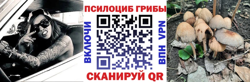 Псилоцибиновые грибы Psilocybe  маркетплейс телеграм  Бакал  наркошоп 